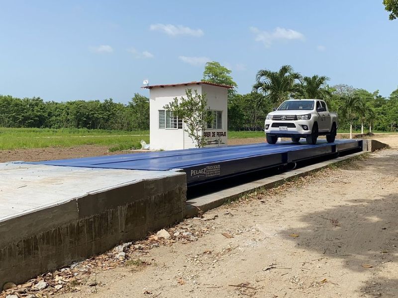 bascula camionera de bajo perfil con placa de acero tbs del sureste